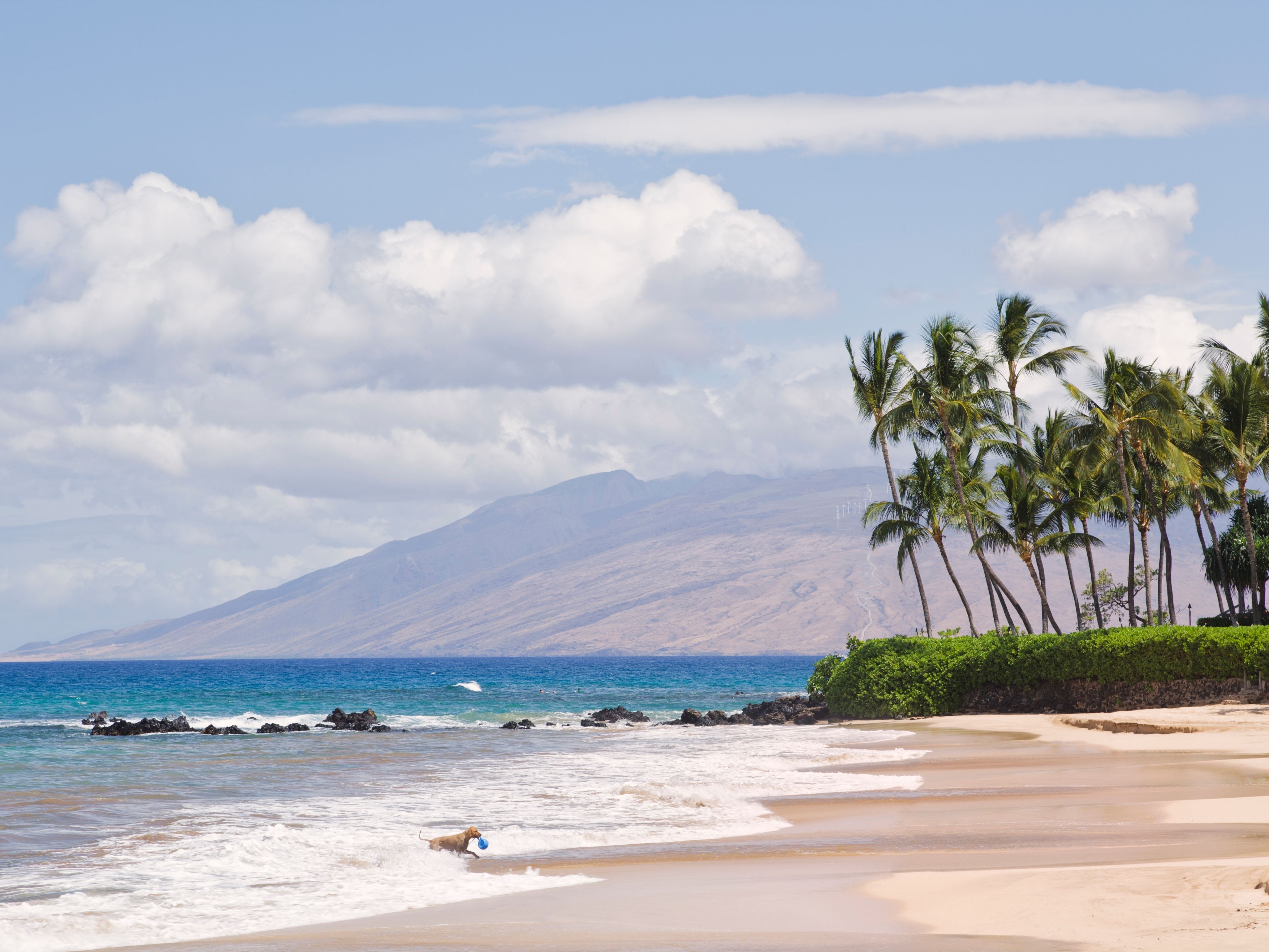 Palauea White Rocks Beach Maui