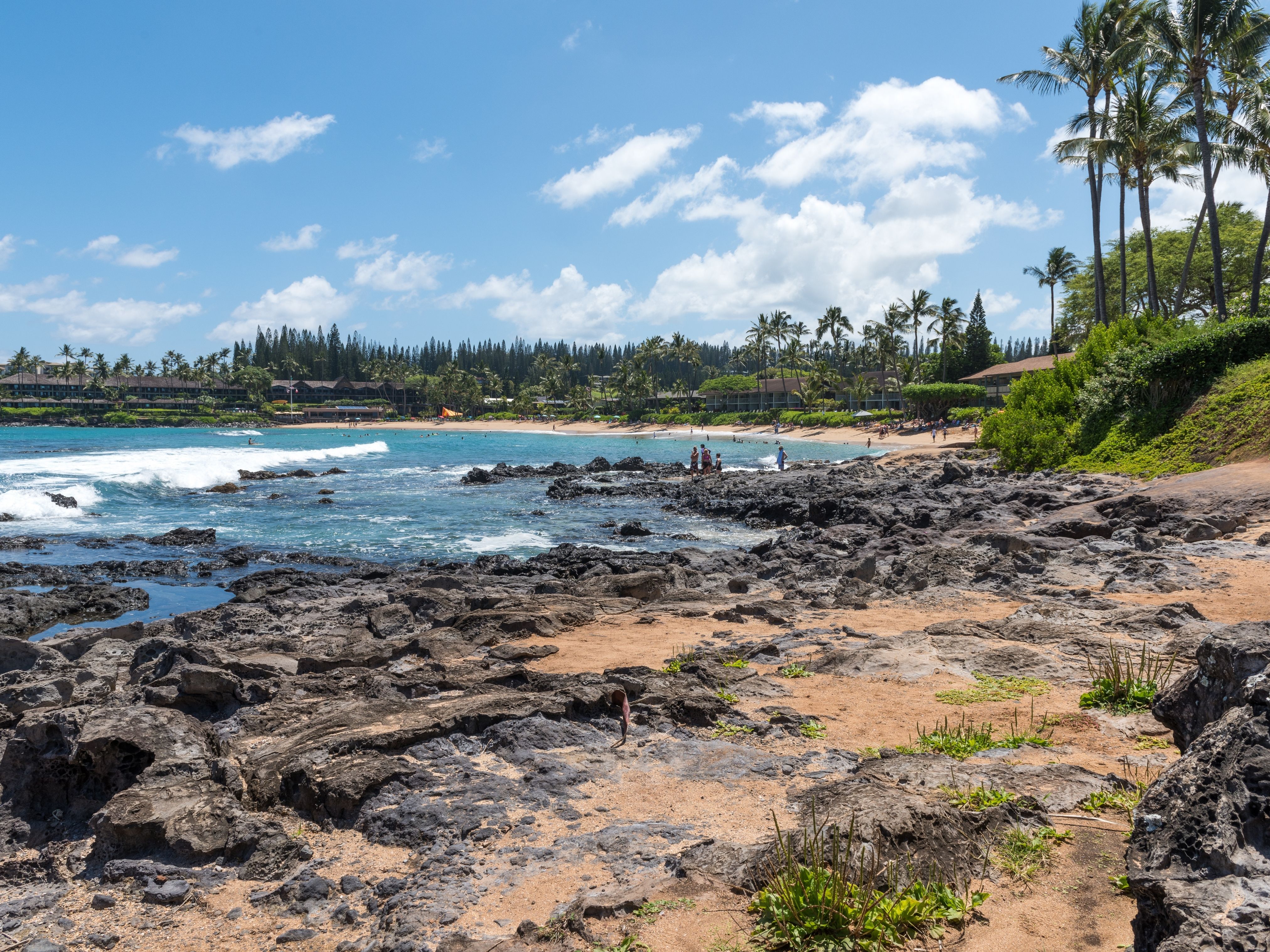 Napili Bay is one of the best snorkel areas for families in Maui