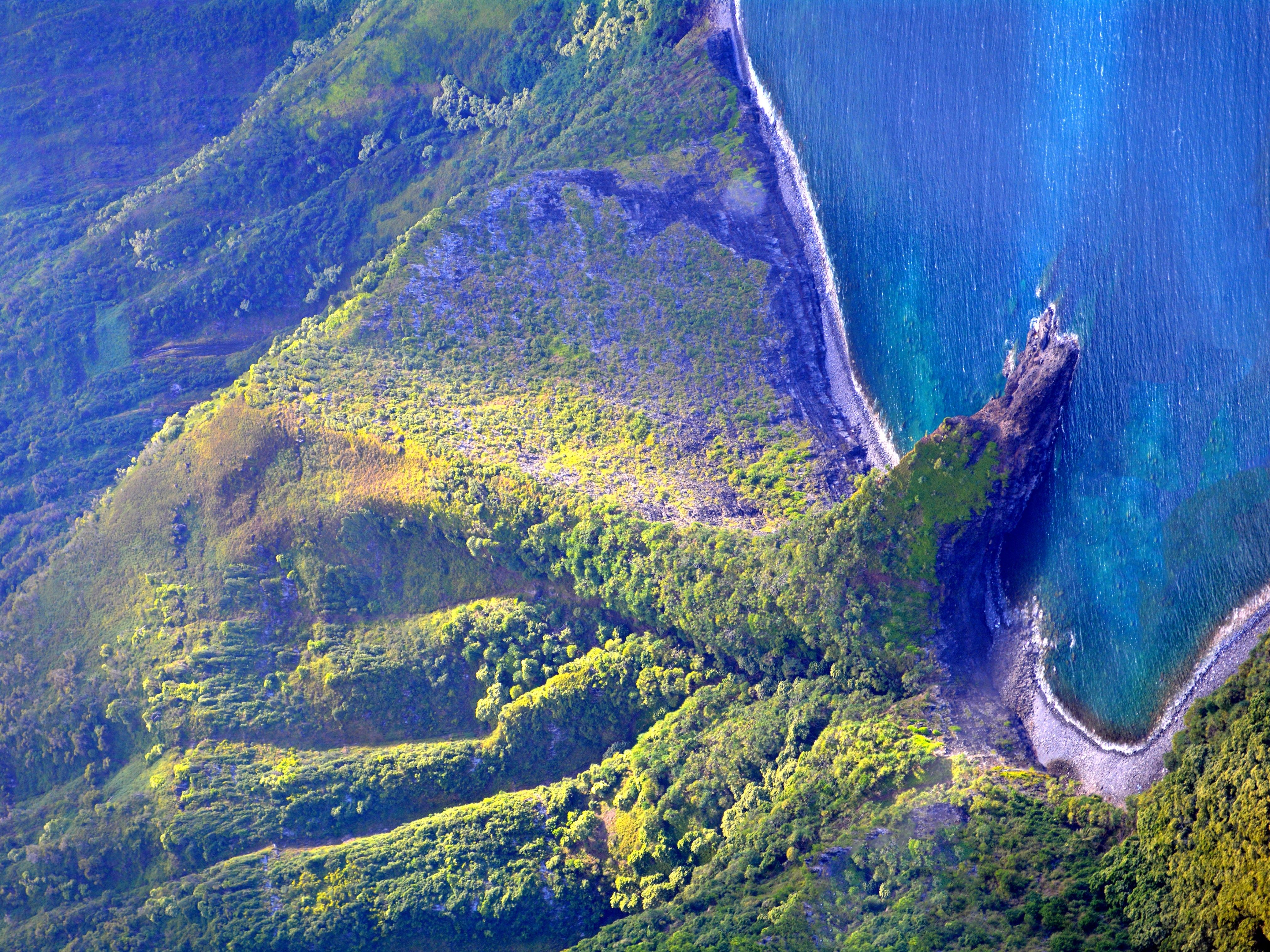 a great family activity to do in Maui is go on a helicopter tour