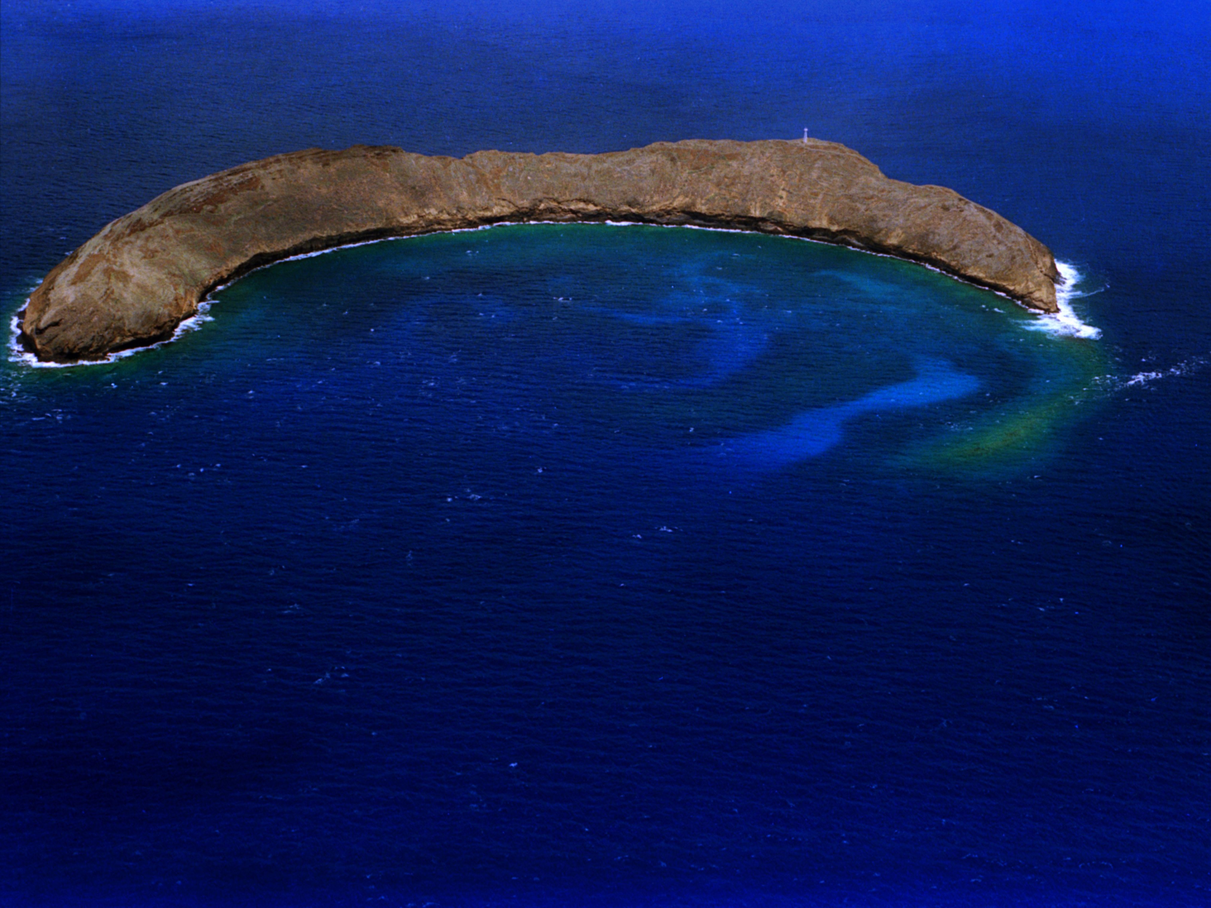 snorkeling molokini crater off the coast of Maui