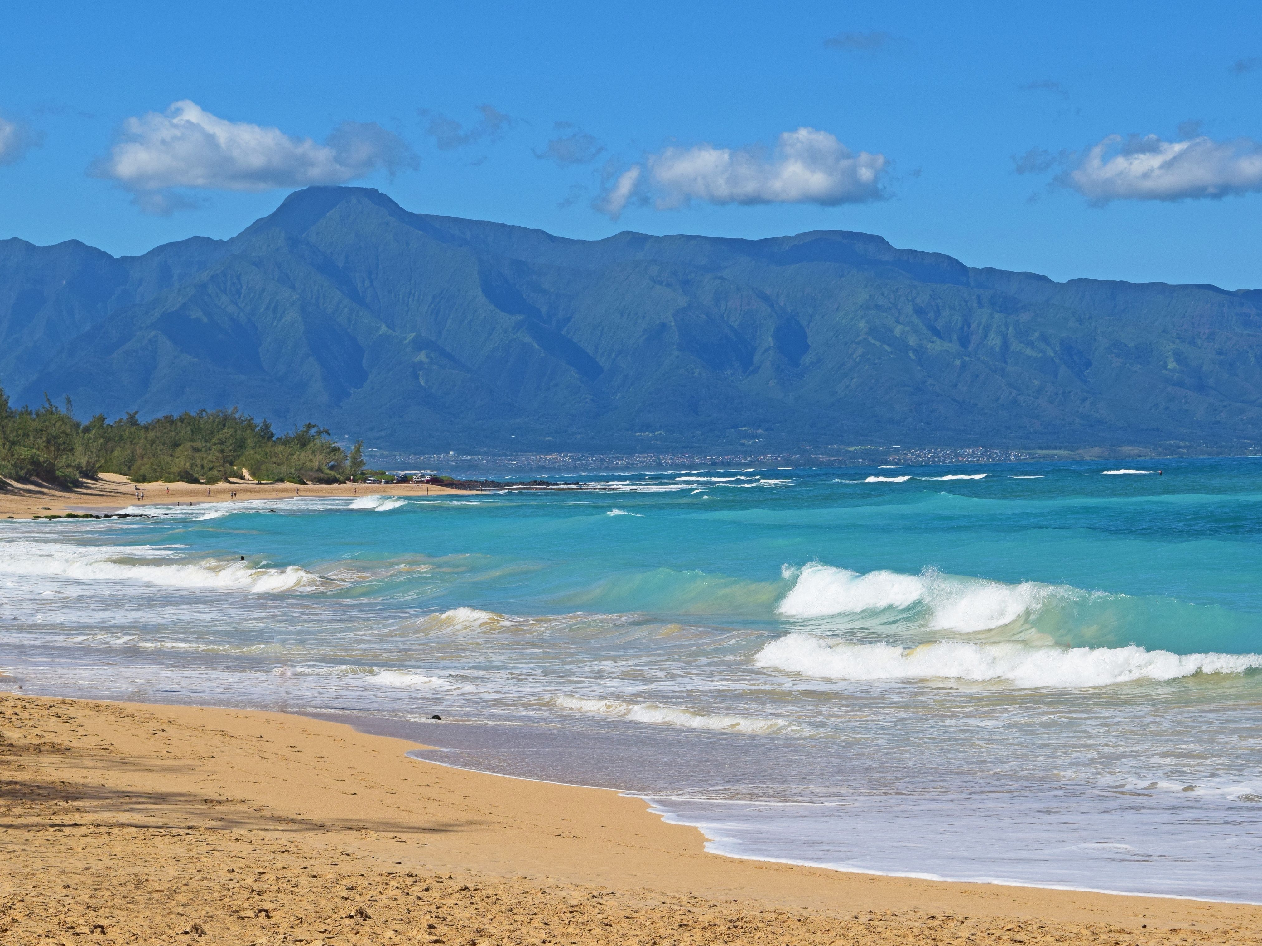 Baldwin Beach on the north shore of Maui is one of the best spots to surf