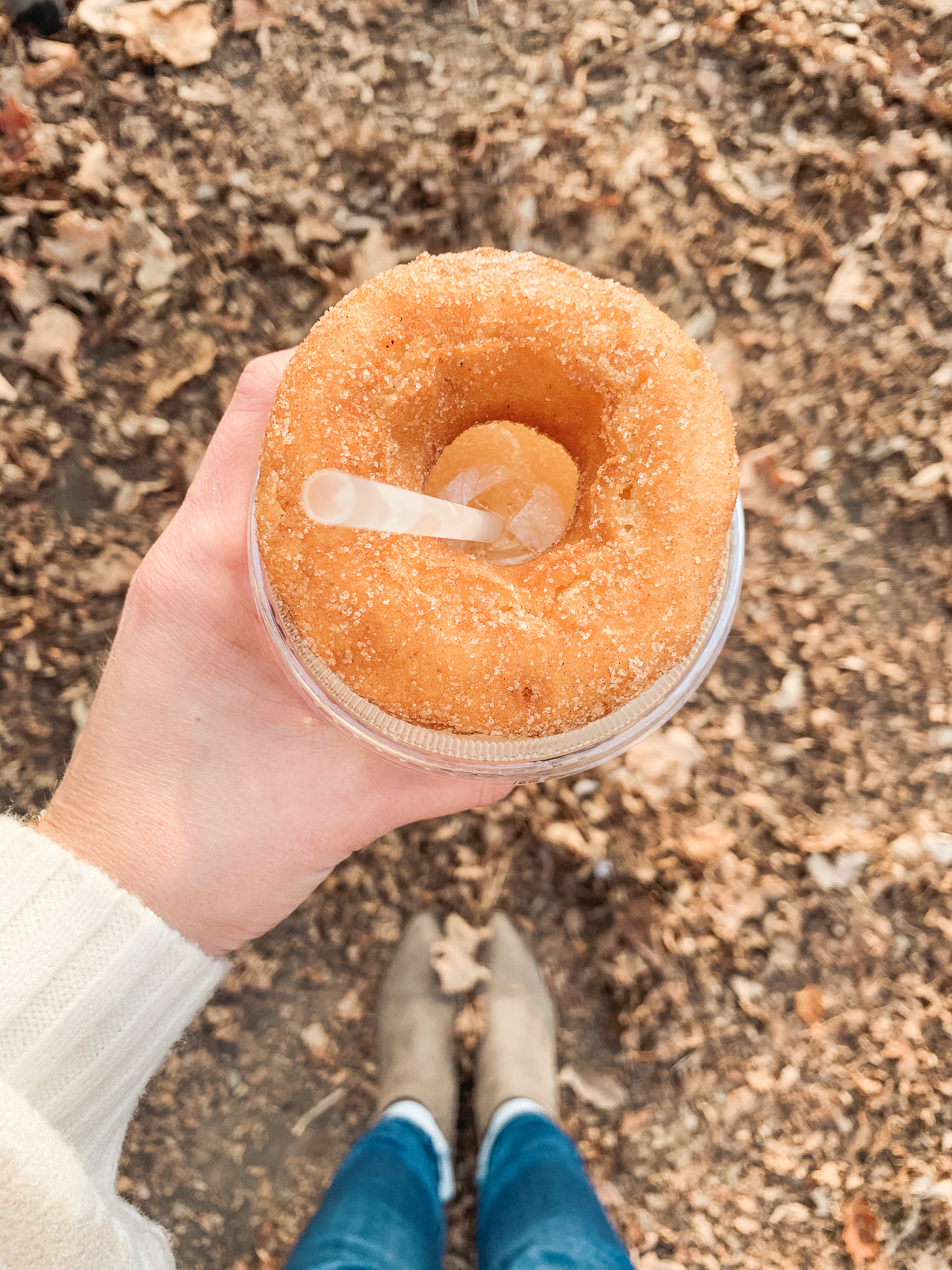 Cider donuts and a weekend in Mystic CT