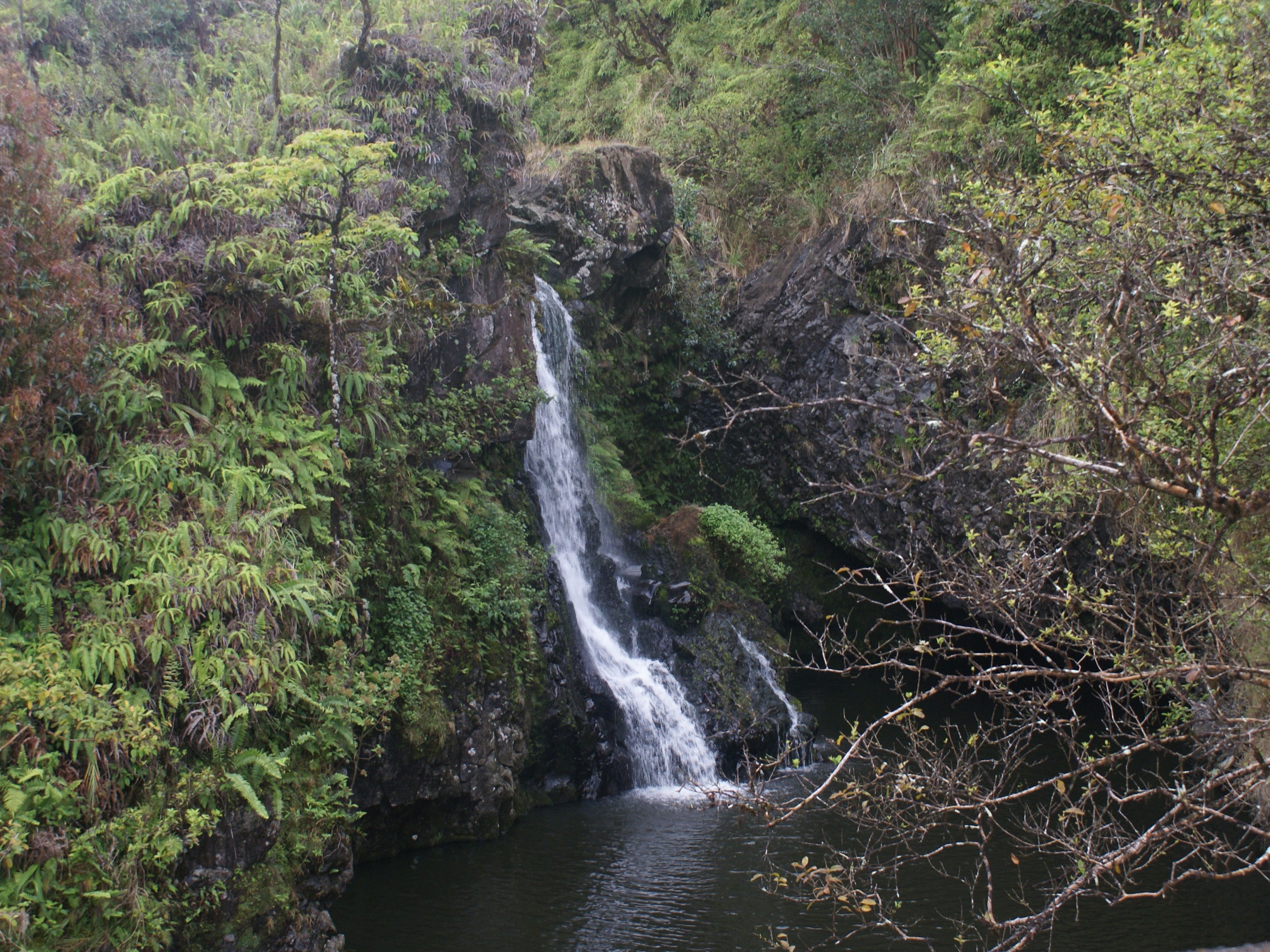 add a quick swim at Haipua'ena Falls to your list of things to do on the Road to Hana