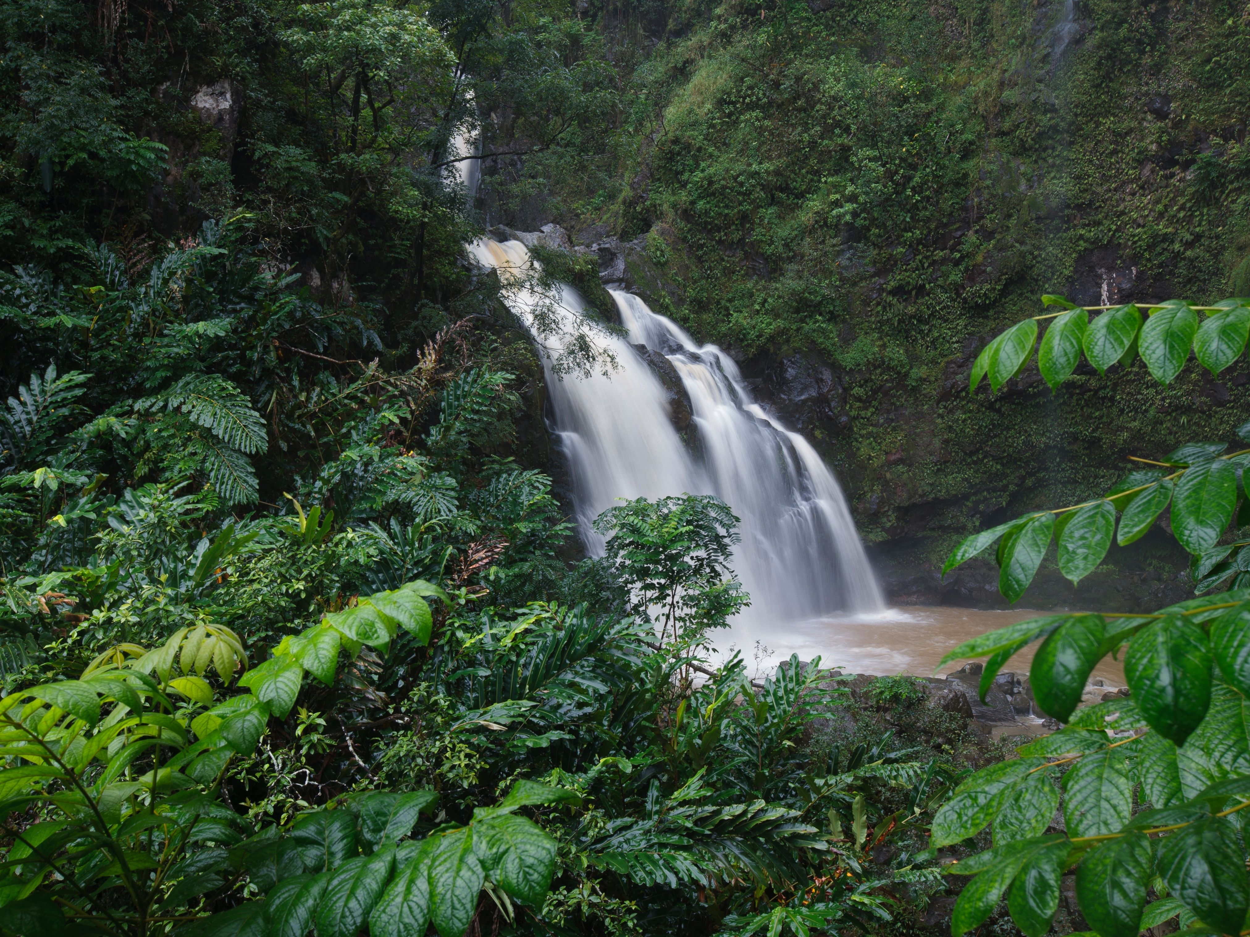 Hanawi Falls is one of the most popular stops and things to do on the road to hana