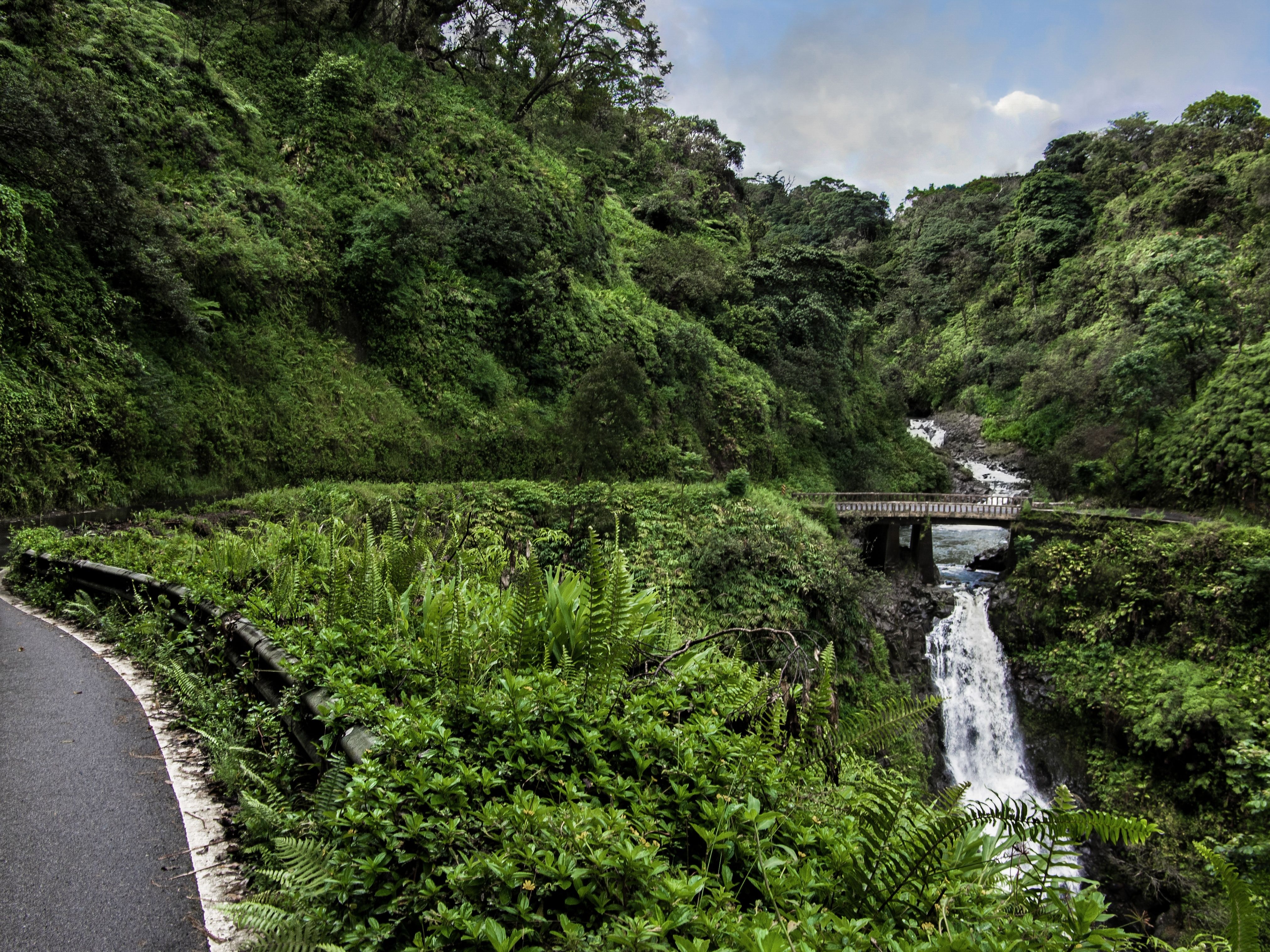 Makapipi Falls on the Road to Hana