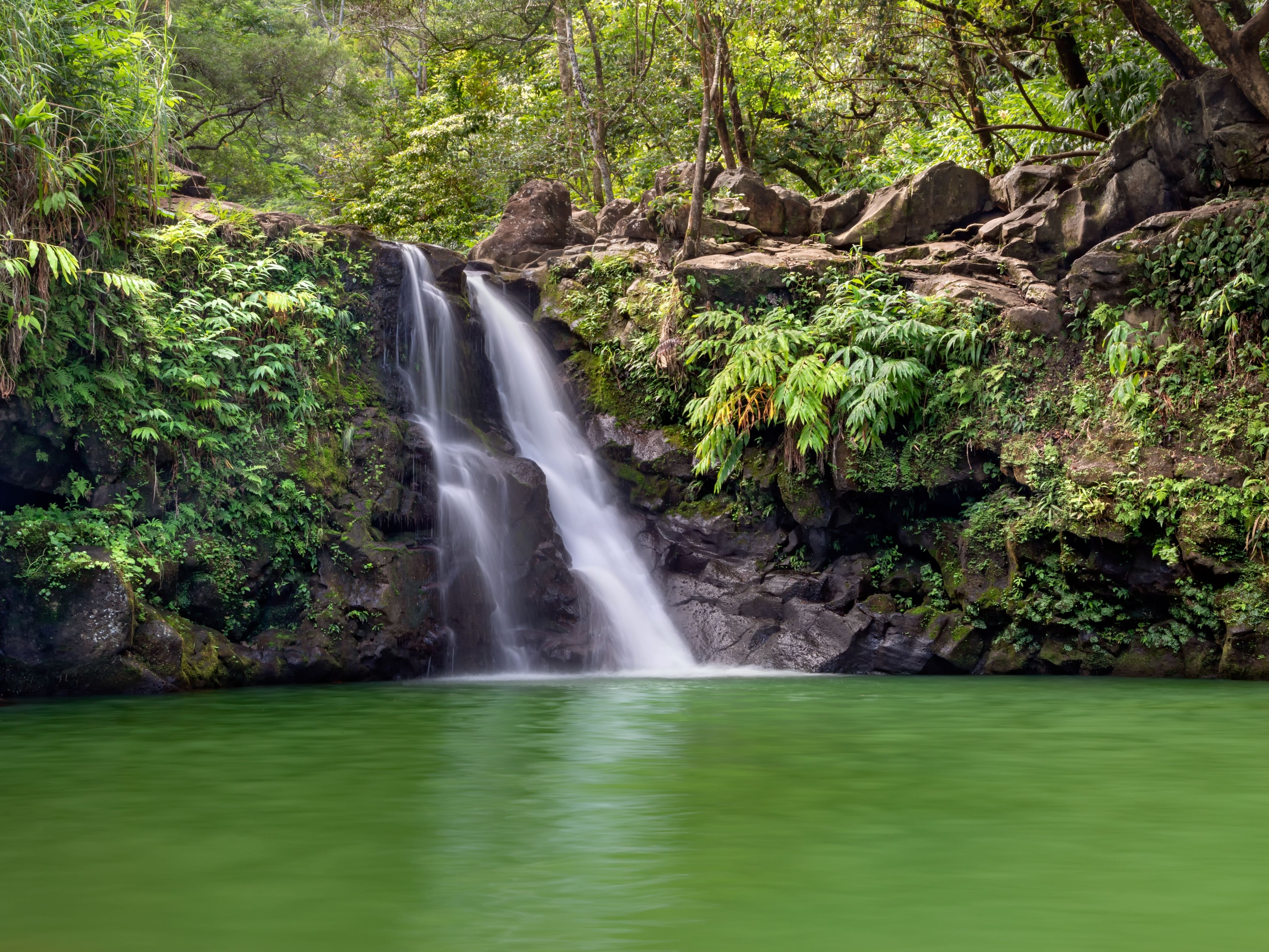 Waikamoi Falls on your list of things to do on the Road to Hana