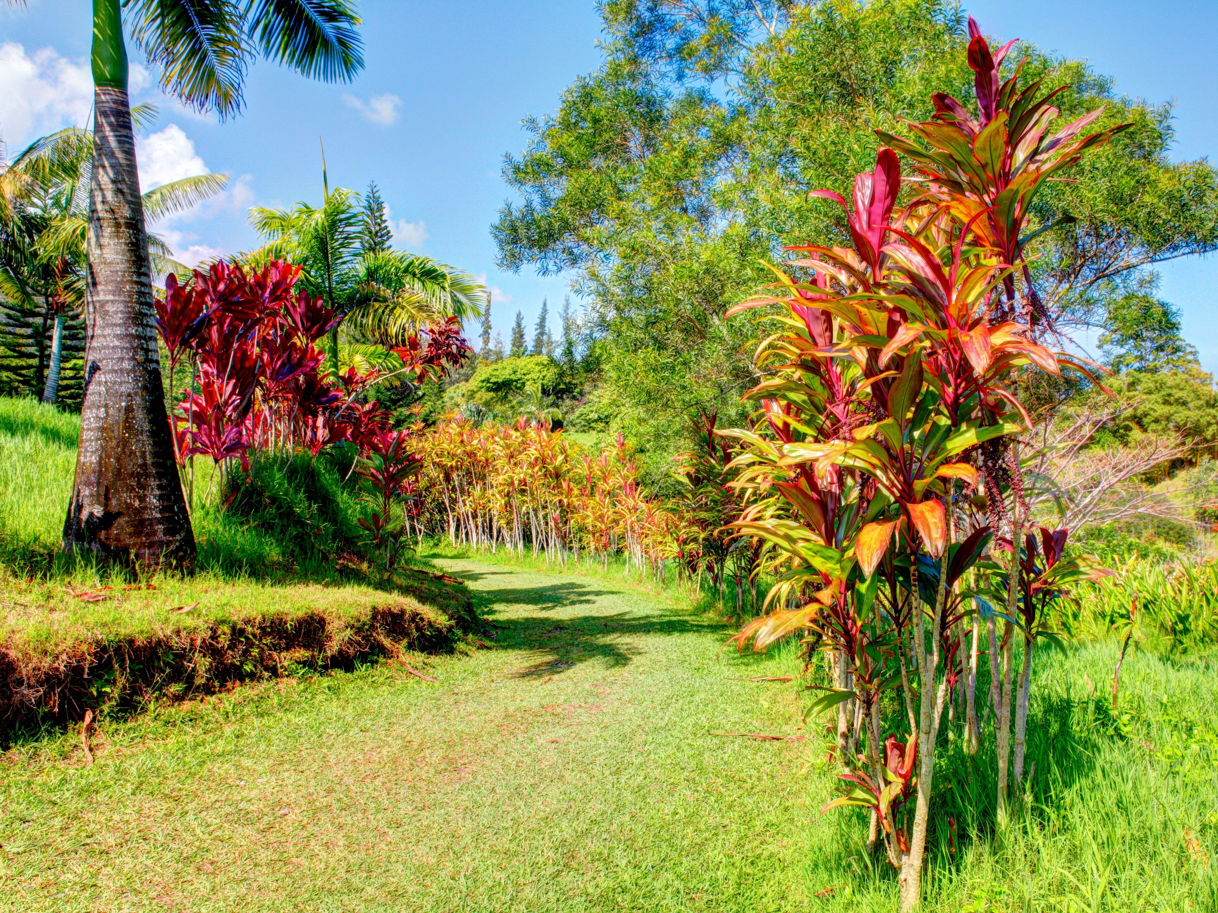 stop and explore the Garden of Eden on the Road to Hana