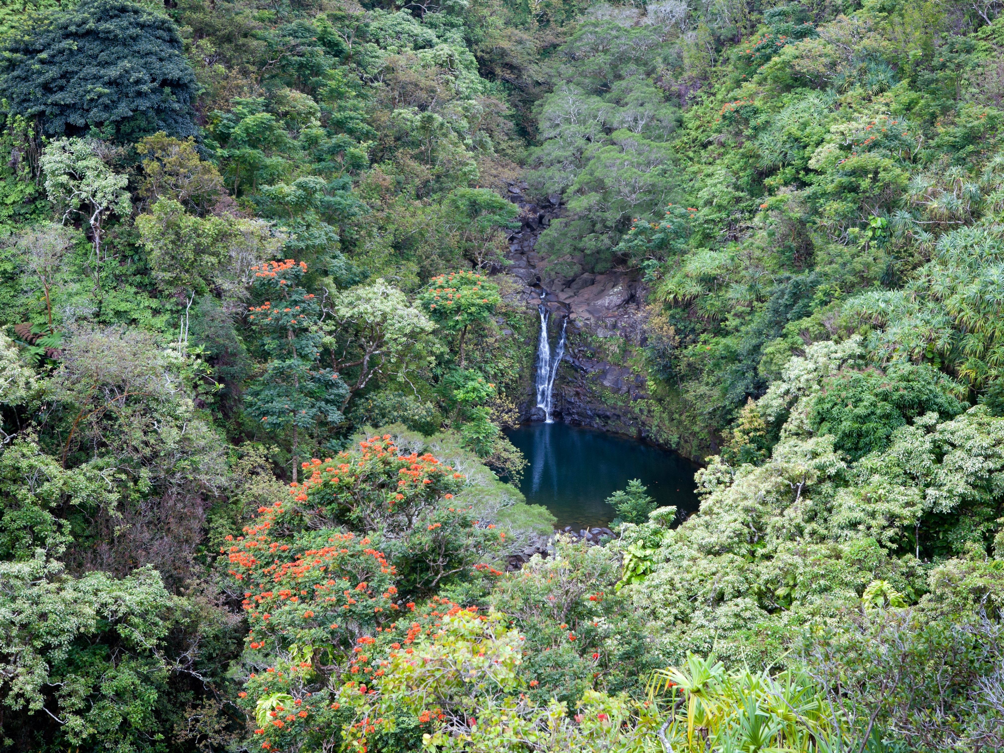 Lower Puohokamoa Falls