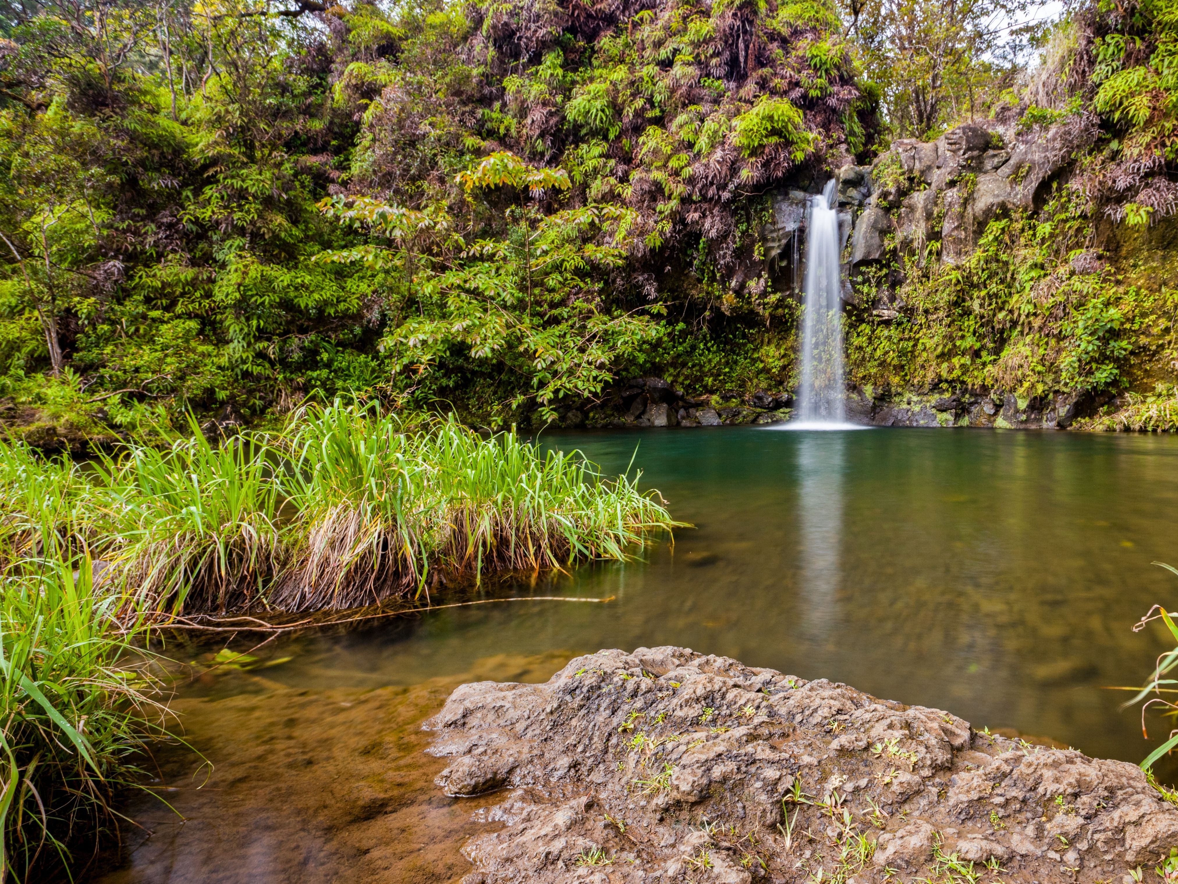 things to do on the road to hana - visit pua'a ka'a falls