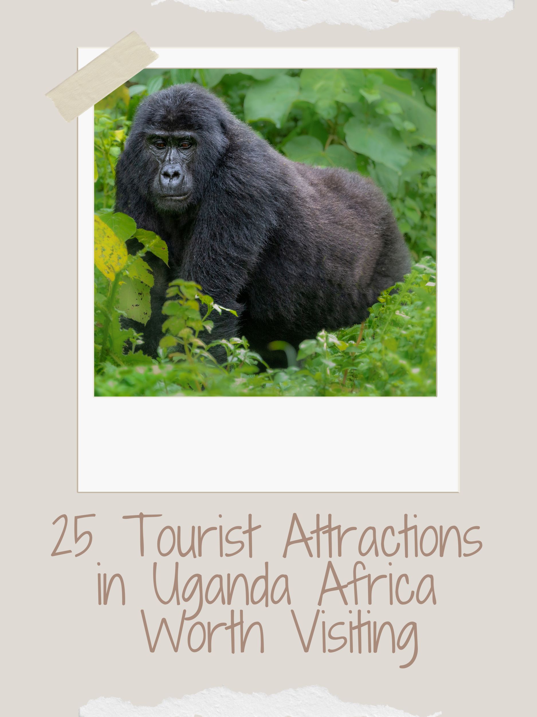 25 Tourist Attractions in Uganda Africa Worth Visiting