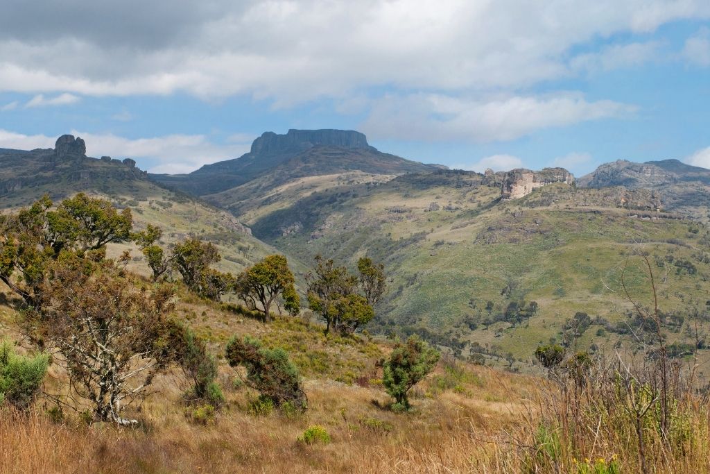 landscape of Mount Elgon National Park - a popular tourist attraction in Uganda Africa among hikers