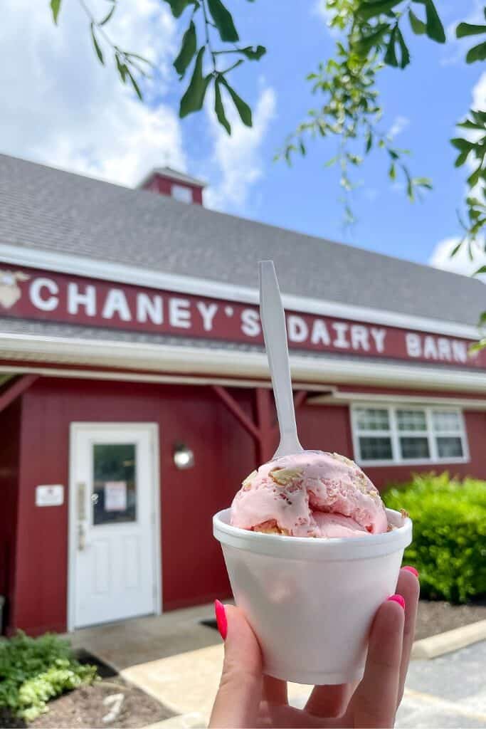a dish of ice cream at Chaney's Dairy Barn