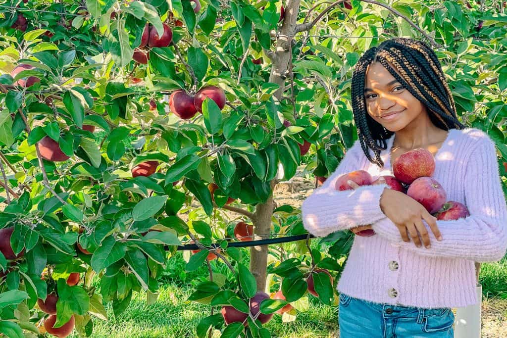 girl picking apples in Bowling Green KY