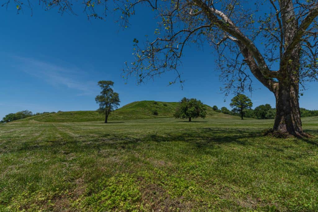 Cahokia Mounds is the largest prehistoric native site north of Mexico and is located just a short distance from St. Louis