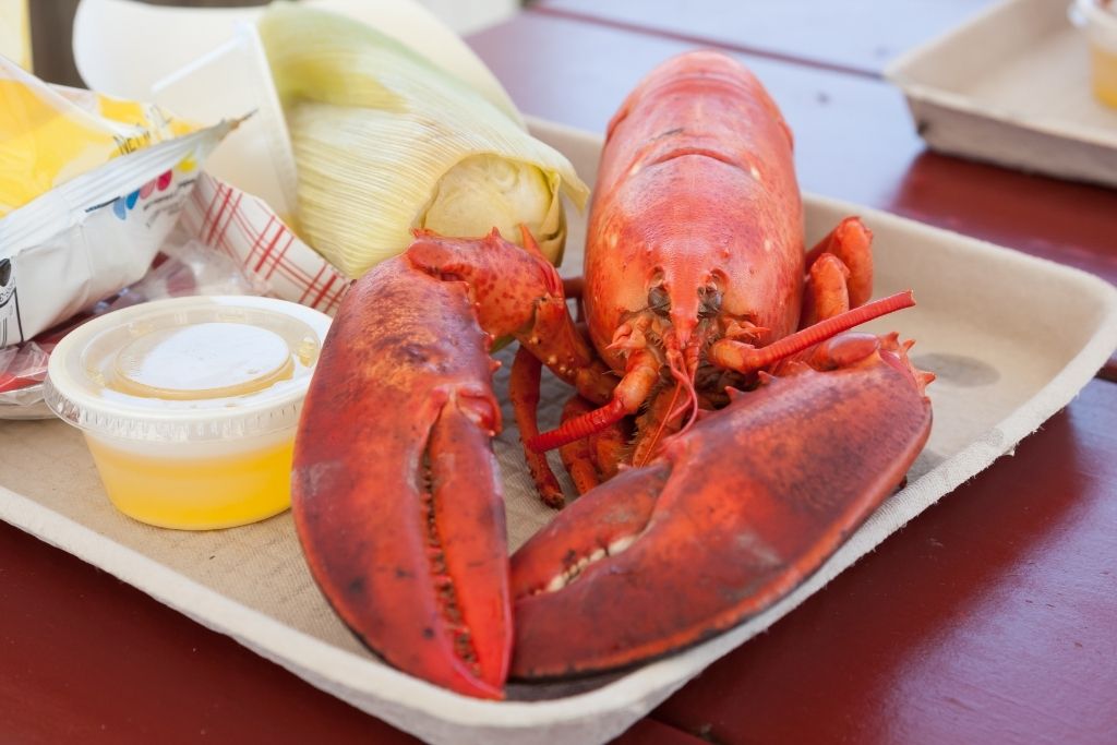 fresh lobster in Portland Maine