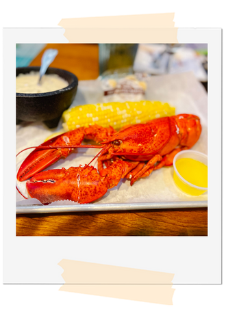 Bar Harbor Maine Itinerary: What to Do and See in 4 Days